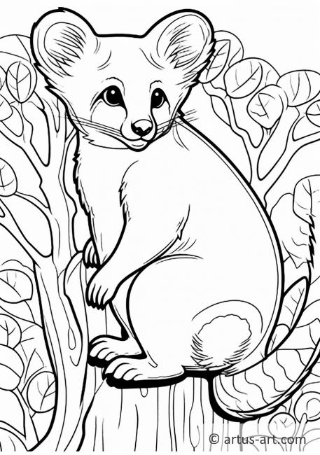 Page de coloriage de kangourou arboricole